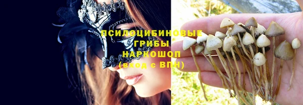 ешки Абинск