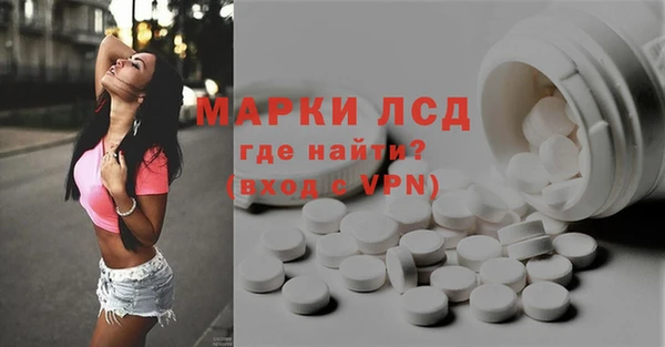 стафф Алзамай