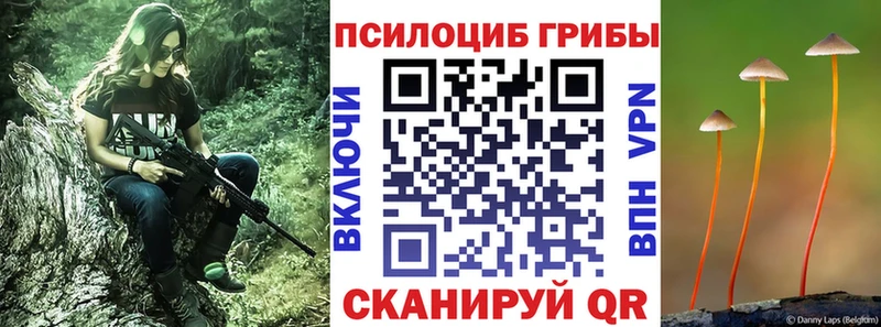Галлюциногенные грибы Psilocybe  OMG как зайти  Королёв  купить  
